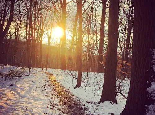 Silent Hike in the Wissahickon with Margaret Kinnevy and Pat Jacona