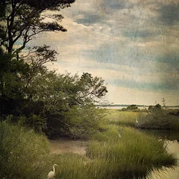 The Art of iPhone Photography with Karen Klinedinst (Online)
