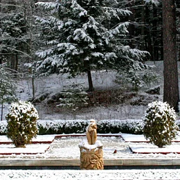 Winter Forest Bathing & Tai Chi with Mary Hannah Parkman