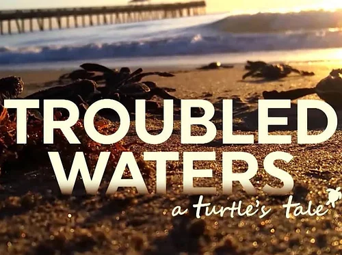 Film & Filmmaker Talk: Emmy Award-Winning “Troubled Waters” with Rory Fielding