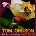 Guest Artist – Tom Johnson