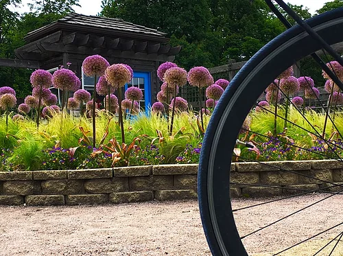 Bike Tour of the Gardens