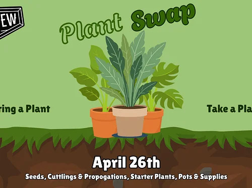 Plant Swap at The Sanctuary