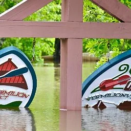 The Living Bayou — Tell Us Your Stories!