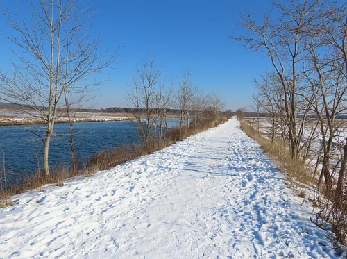GapTracks: Assessing Both Wildlife and Human Use of the Eastern Trail’s GAP section