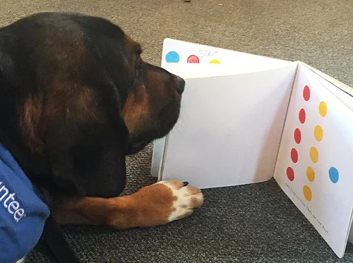 Share-A-Book (Tiburon)