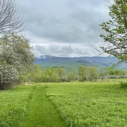 Field Farm (North Loop & Caves)