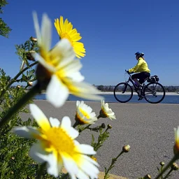 Bike Anywhere Day