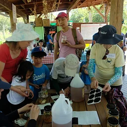 Fire Cider Workshop