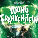 Elmira Little Theatre presents Mel Brooks’ YOUNG FRANKENSTEIN