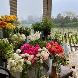 Sip & Bloom: An Autumn Equinox Evening