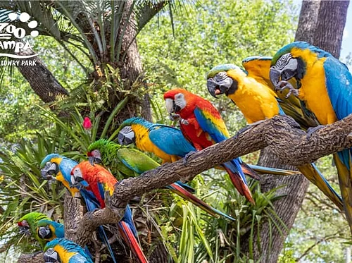 Conservation Connections: World Wildlife Conservation Day 2026