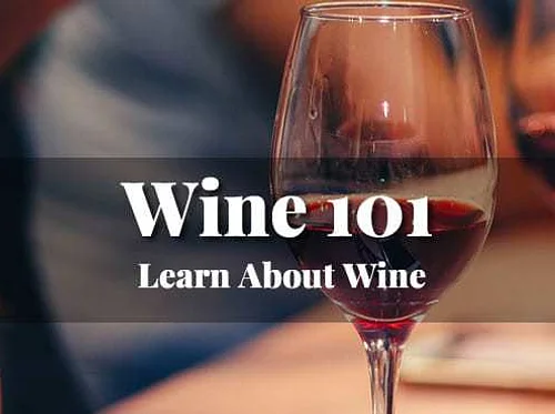 Wine 101: Learn About Wine