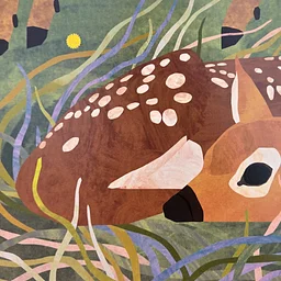 Illuminating Illustrations Exhibition