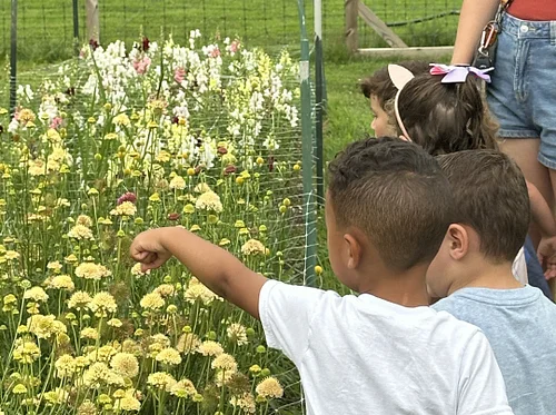Farm School: Friendly Fields
