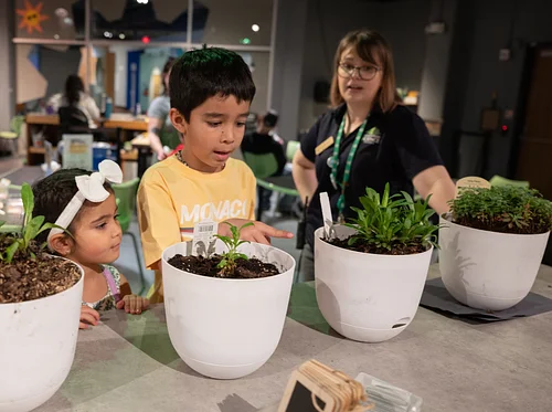 Tiny Travelers: Biome Adventures