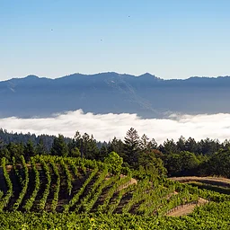 Farmhouse Dinner ft. Pride Mountain Vineyards