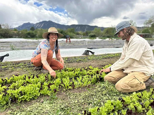 Gardening 101 Online Course