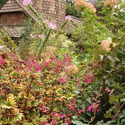 Scott Associates’ Garden Day