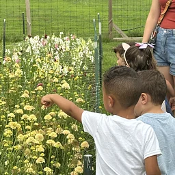 Farm School: Friendly Fields
