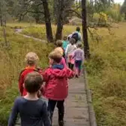 Guided Nature Hike –