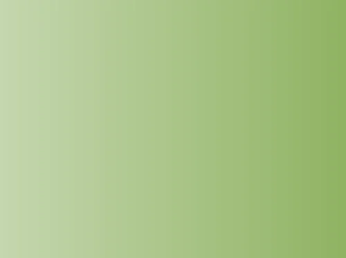 NFFA Board of Directors Annual & 1st Quarter Meetings