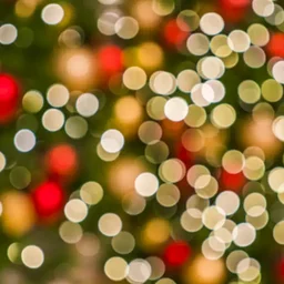 Joy to the World at Rolling Oaks Mall