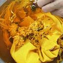 Plant-Based Fabric Dyeing: A Drop-In Event