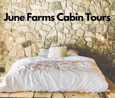 Cabin Tours