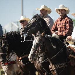 Zacatecas Horse Dancing