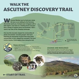 DISCOVERY TRAIL COMMUNITY WALK