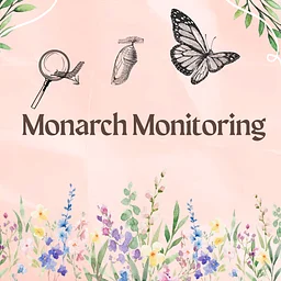 Monarch Monitoring