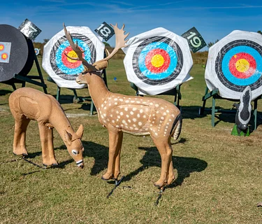 3D Archery Days