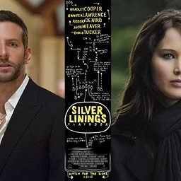 Silver Linings Playbook (Page to Screen Series)