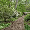 Sunday Tour: Delco’s Changing Ecology