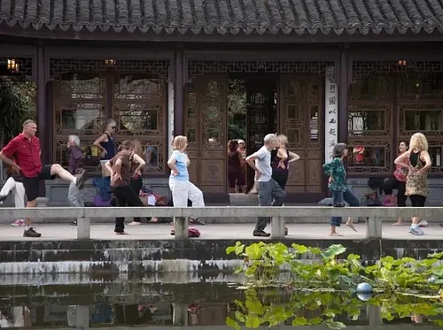 Wild Goose Qigong