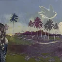A State of Expression | A Look into The Art of Florida