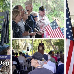 Veterans Day Tribute