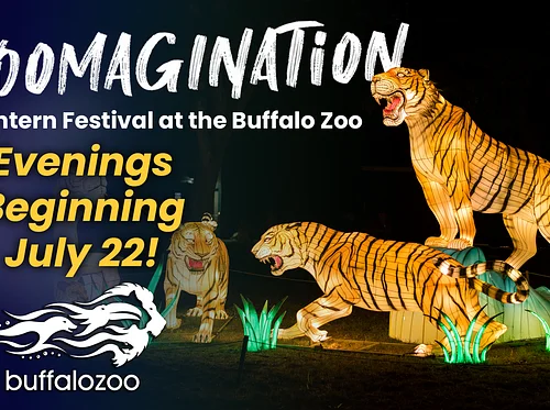 Zoomagination: Lantern Festival at the Buffalo Zoo
