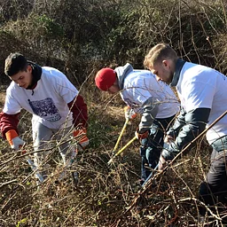 Restoration Workday