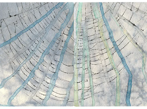 Exhibition: Natural Order, Lucien Liu and Rachel Phillips