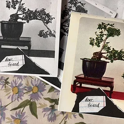 Wild Pages: Creating Nature Zines