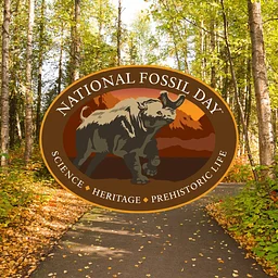National Fossil Day