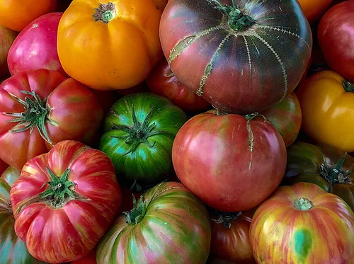 Heirloom Tomato Festival at the Farmer’s Market – Aug. 22nd
