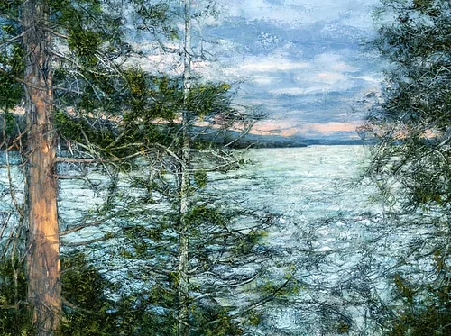 “Forest for the Trees” Exhibition Opening Reception