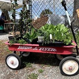 Plant Sale