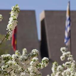 Saturday Special: Visual Arts Museum Tour
