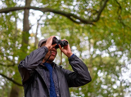 Be a Better Birder: Tips for Identifying Bird Sounds