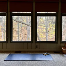 Yoga at Blandford