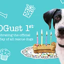 DOGust 1st®